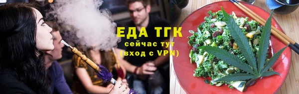 гашик Дмитров