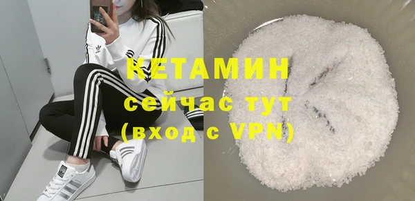 индика Дмитриев