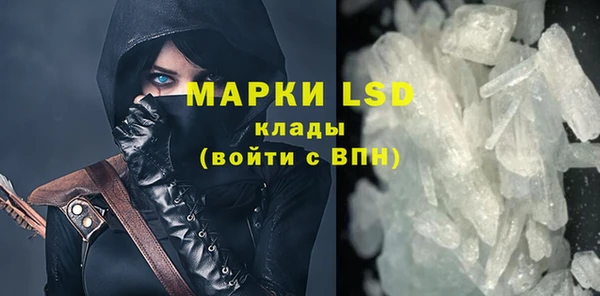 гашик Дмитров