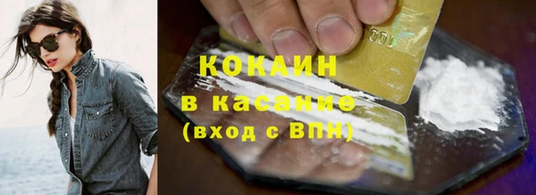 индика Дмитриев