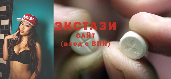 индика Дмитриев