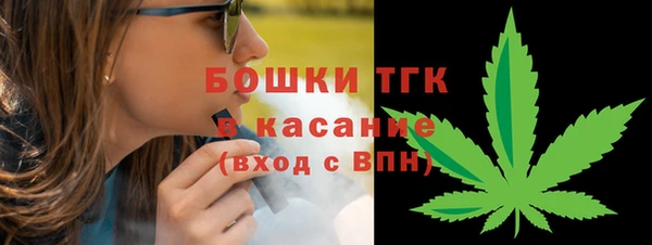гашик Дмитров
