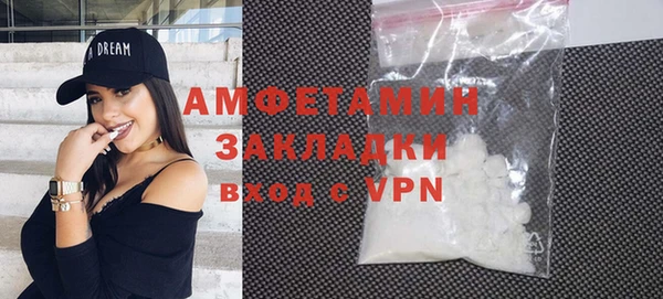 индика Дмитриев