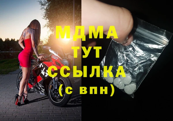 гашик Дмитров