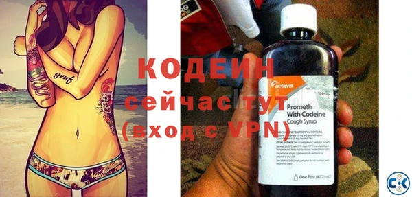 гашик Дмитров