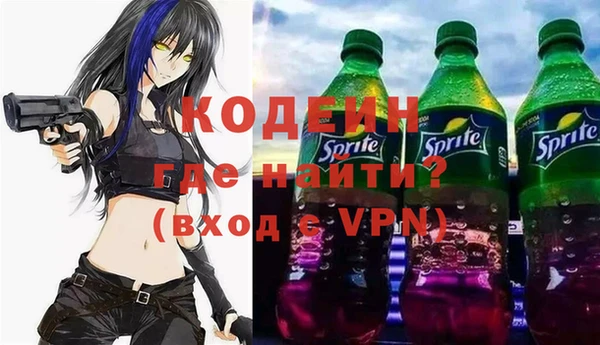 индика Дмитриев