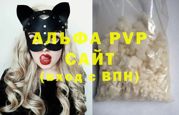 индика Дмитриев