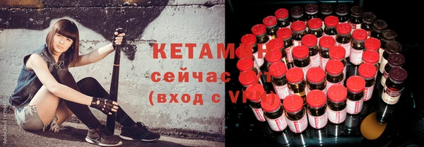 индика Дмитриев